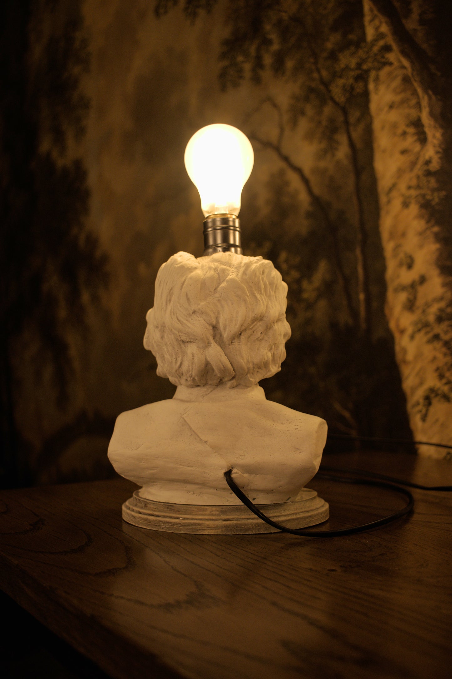 Albert Einstein Bust Lamp — Dark Academia Desk Lamp, Unique Teacher Gift, Handmade Gypsum Sculpture