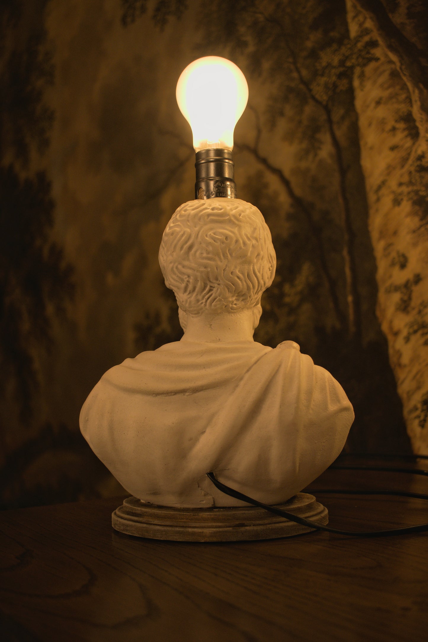 Marcus Aurelius Bust Lamp — Dark Academia Desk Lamp, Stoic Philosopher Decor, Handmade Gypsum Sculpture